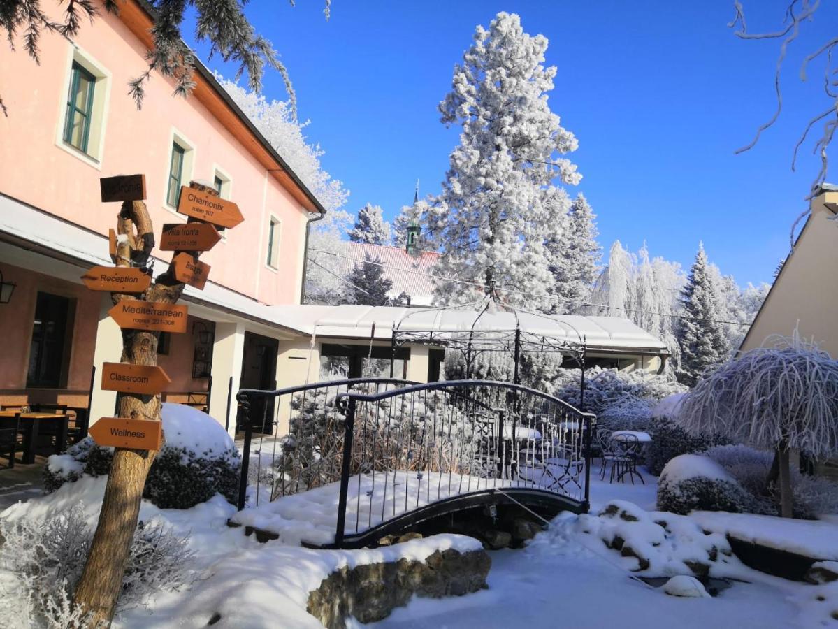 Hotel Via Ironia Vysoke Myto Exterior photo